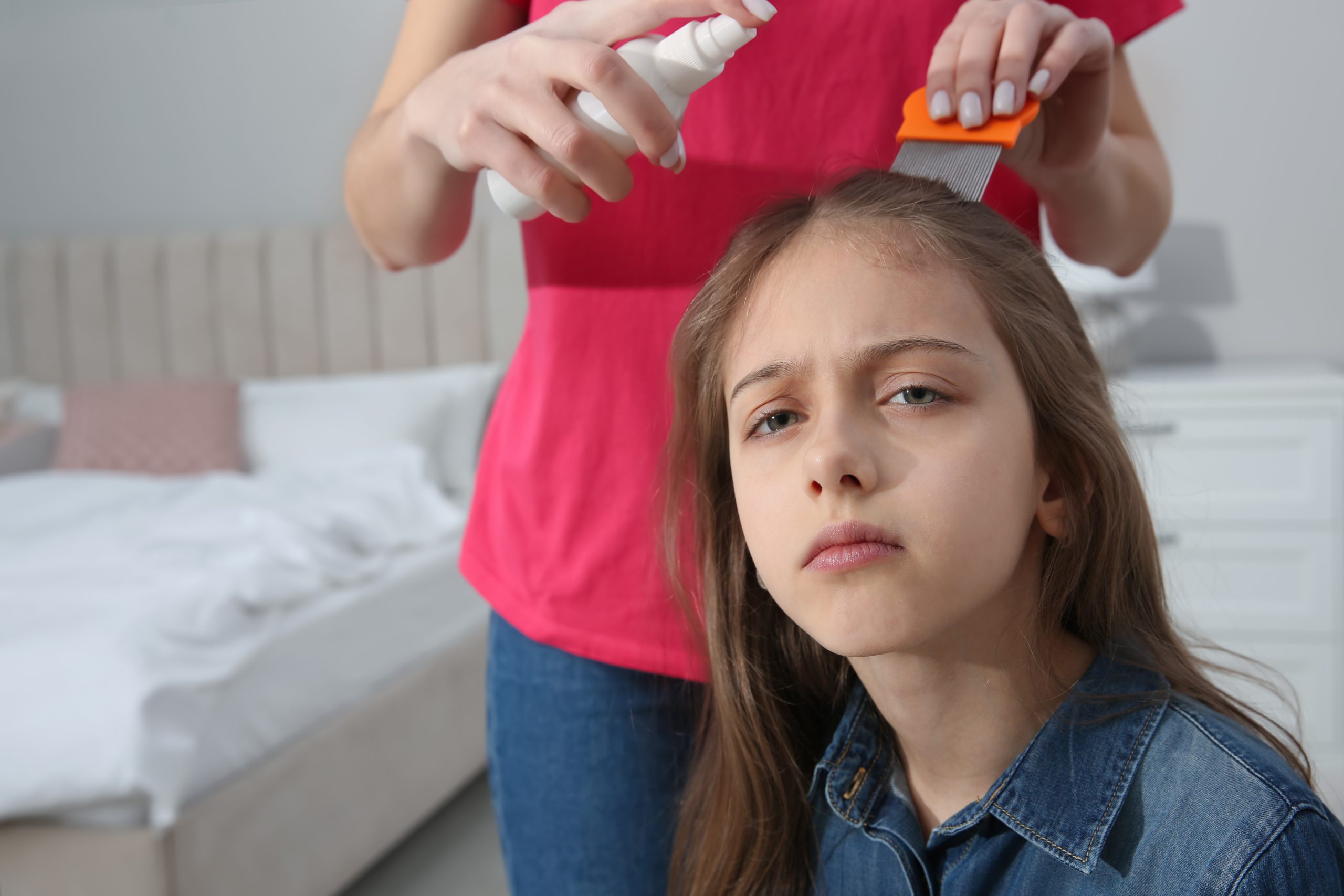 Mother using a fine-toothed nit comb and a small spray bottle to treat her young daughter's hair at the kitchen counter, the typical at-home use of a drugstore lice removal kit.