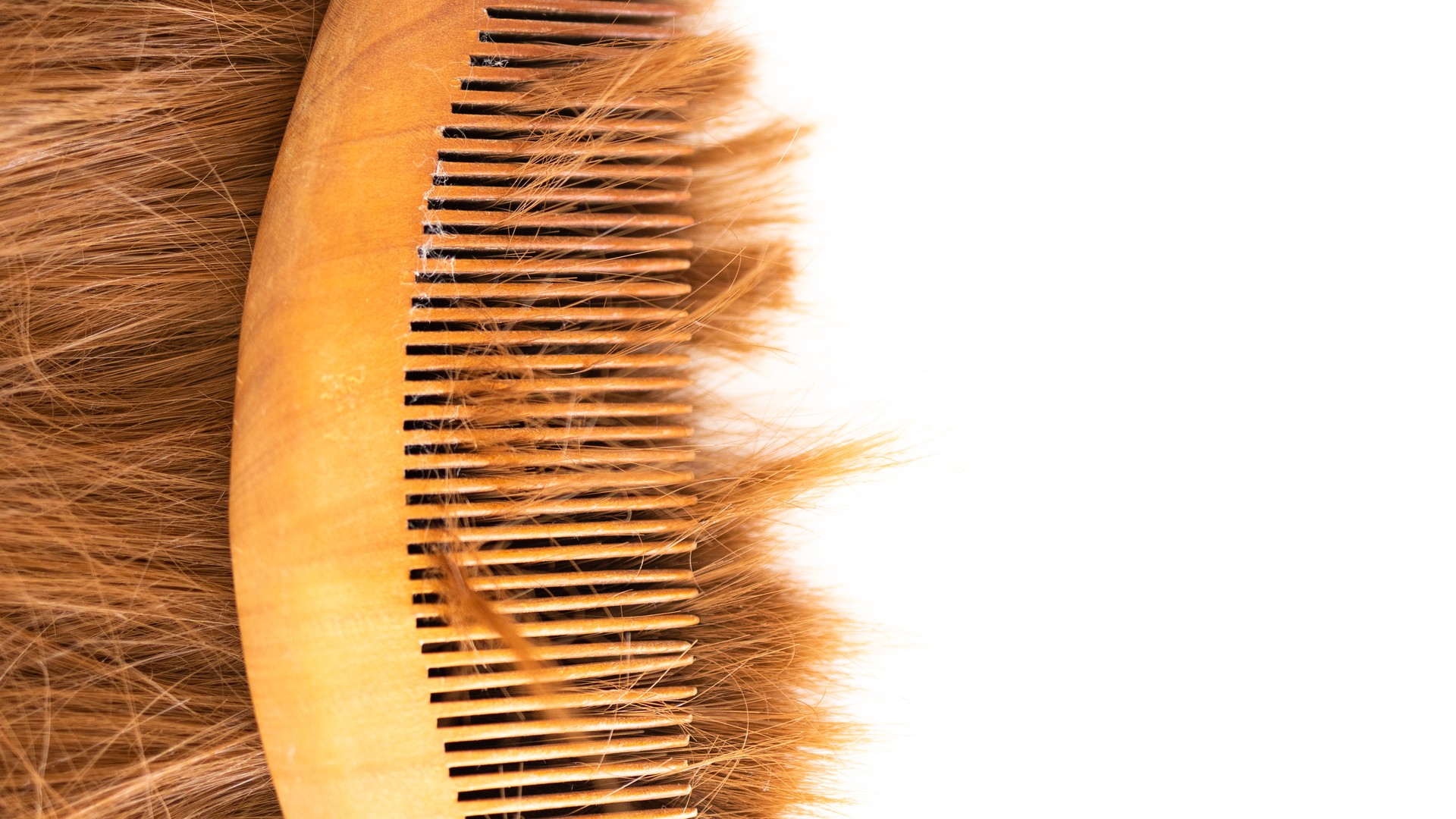 Upgraded: Why Coconut Oil Doesn’t Get the Nits Out of Hair