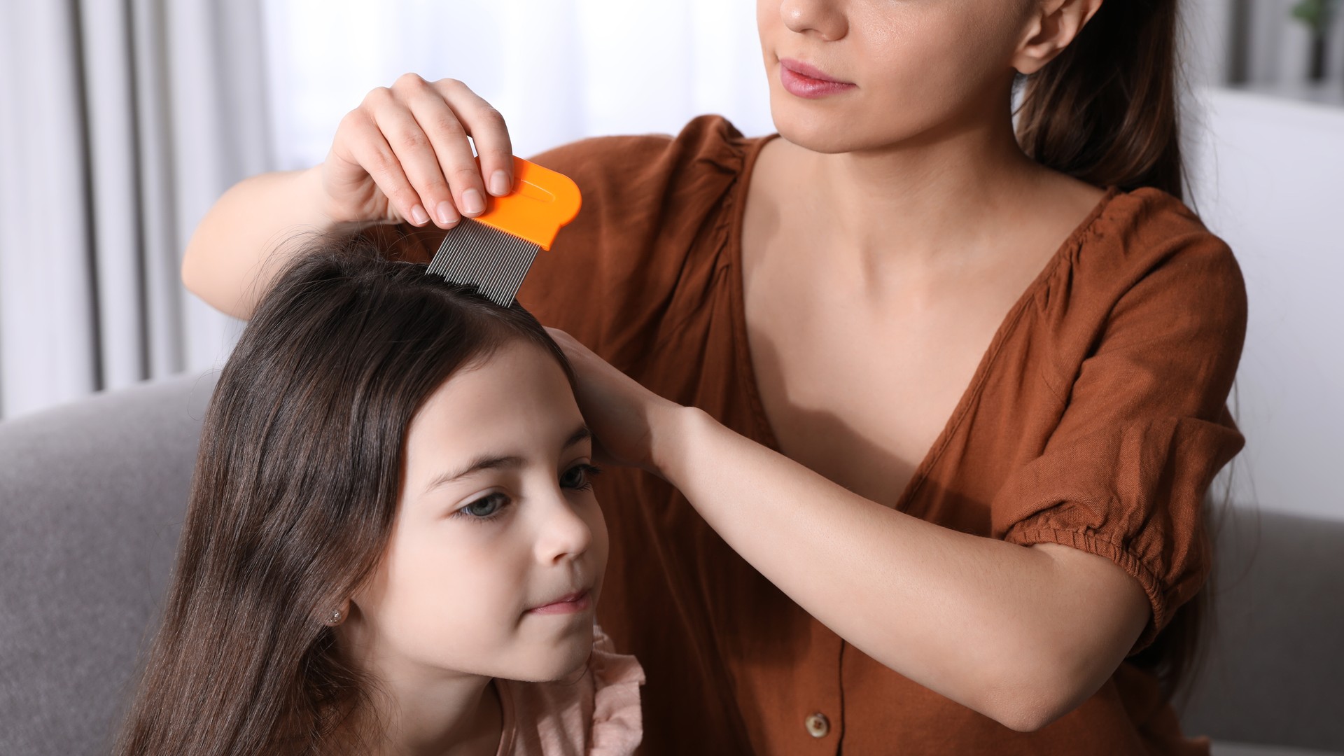 What Castor Oil Actually Does to Head Lice