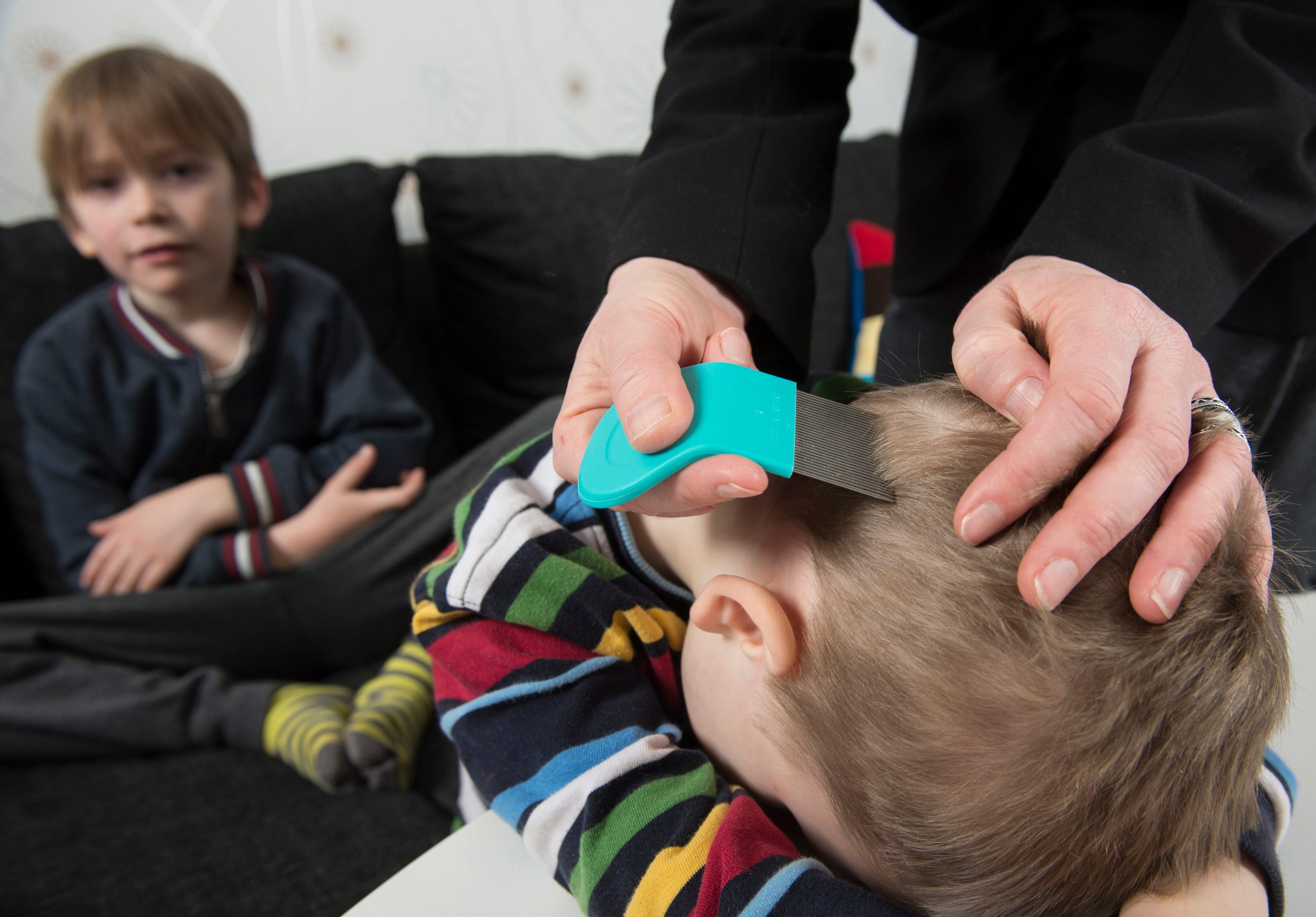 Child being inspected for head lice during a screening