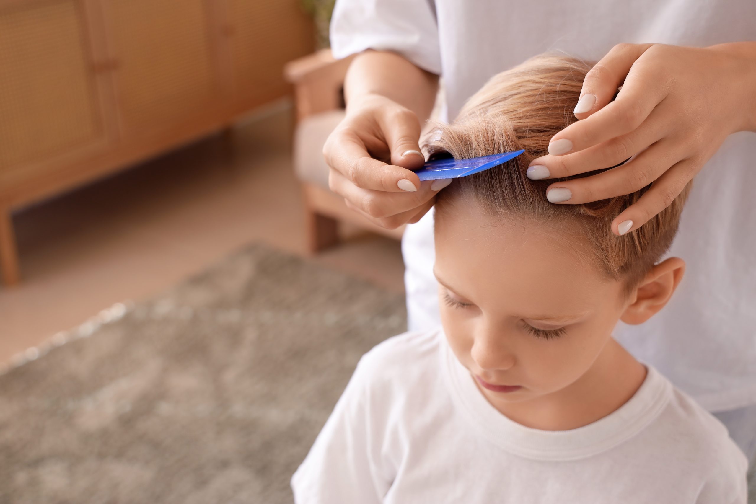 Mother combing a child hair during at-home head lice treatment