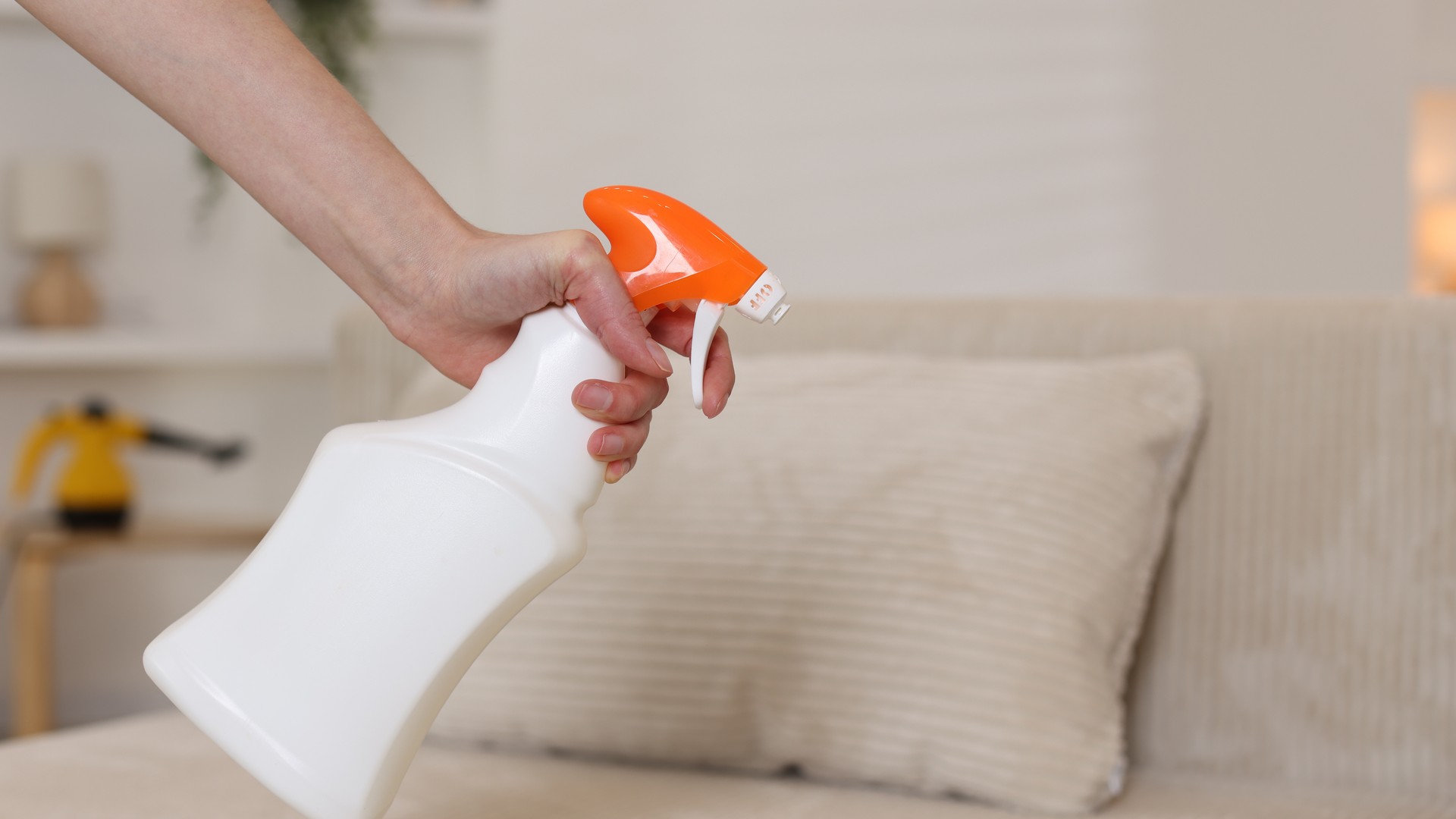 Upgraded: Why Lysol Won’t Kill Head Lice in Your Home