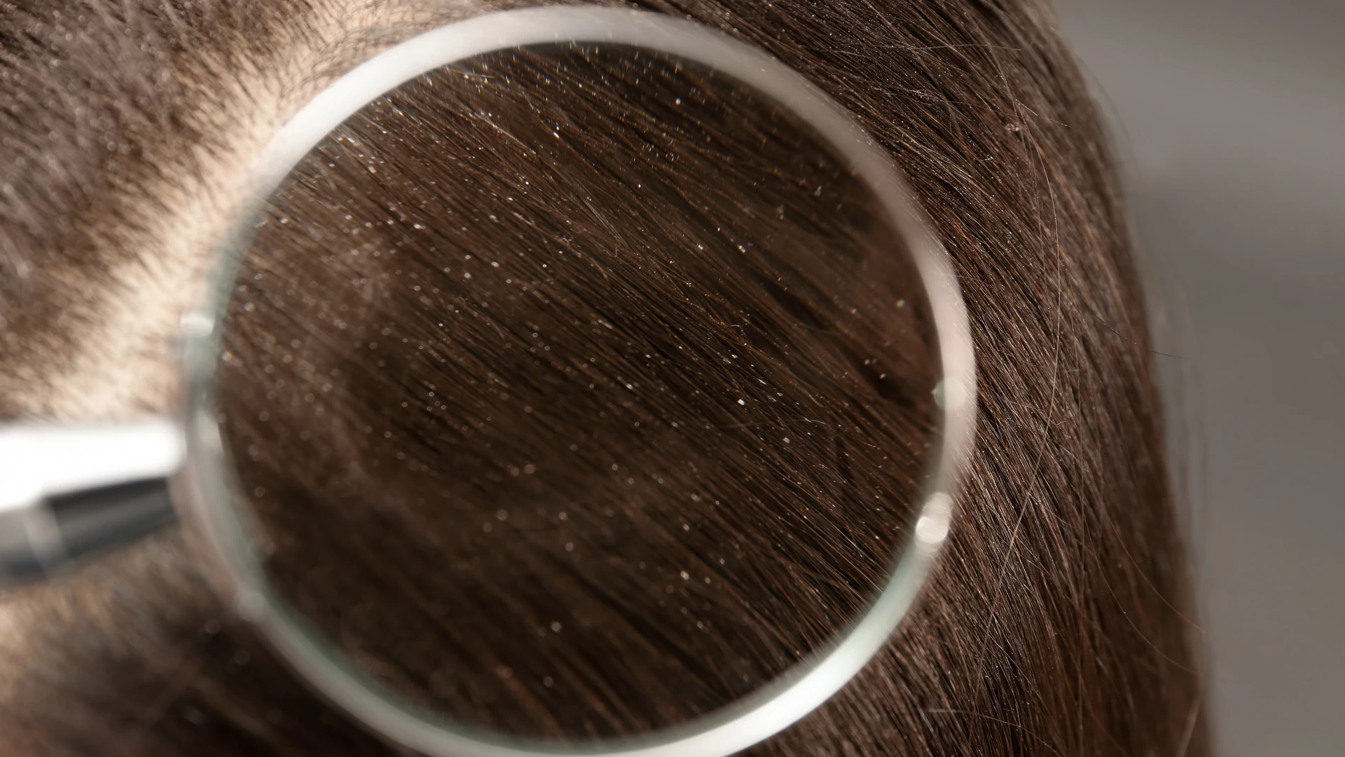 Magnifying glass held over a section of dark hair near the scalp during a close check